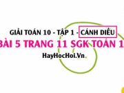 Giải bài 5 trang 11 Toán 10 tập 1 SGK Cánh Diều